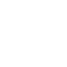 web functionality
