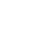 web security